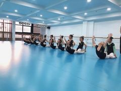 -西安小天鹅艺术团(曲江Alice店)