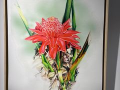 -国家植物园