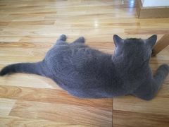 -壹人壹像工作室(购物公园店)