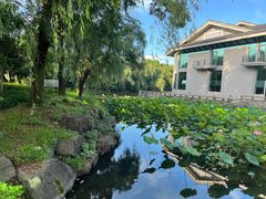 -绍兴鉴湖君澜大酒店