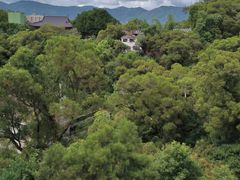 -金鸡山公园