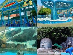 -海合安成都极地海洋公园