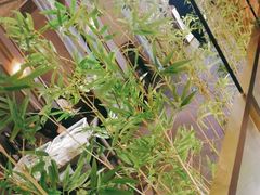 -宏宴·新京菜(望京店)