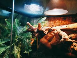 -酷嗒动物文化乐园(cutezoo西溪乐天城店)