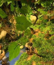 -酷嗒动物文化乐园(cutezoo西溪乐天城店)