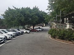 -老幺泉水鸡