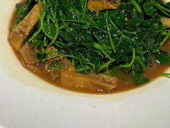 -洋洋中餐馆·SINCE 1997(信投店)