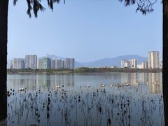 -飞来湖湿地公园