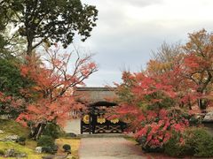 -醍醐寺