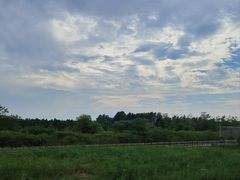 -盐城丹顶鹤湿地生态旅游区