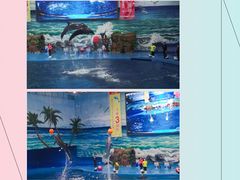 -多彩贵州城极地海洋世界