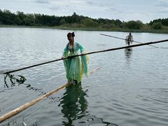 -溱湖国家湿地公园