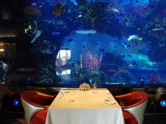-迪拜帆船酒店海底餐厅