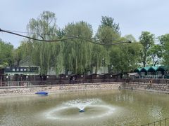 -尚庄度假村·庭台树下·户外烧烤·团建CS·轰趴营地(上庄水库店)