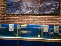 水产区-姜君·千岛湖鱼头馆(浦东大道店)
