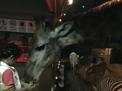 -清迈夜间动物园
