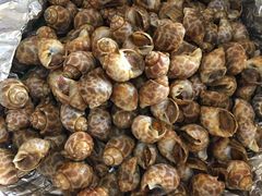 -南沙十九涌渔人码头-南门