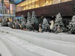 -世界之窗阿尔卑斯冰雪世界