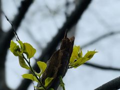 -光明小镇欢乐田园