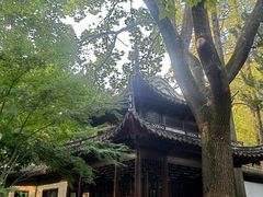 -汇龙潭