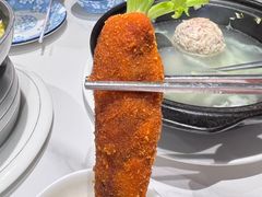 -丁老爷子苏香圆