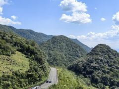 -武陵山森林公园