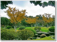-昆山城市公园
