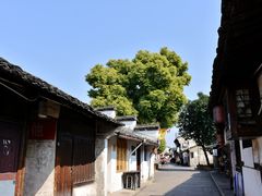 -绍兴书圣故里景区