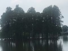 -东湖食堂·湖景餐厅•会议