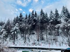 -秦岭风景区