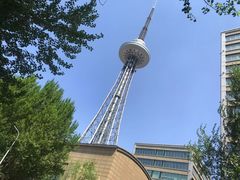 -龙塔