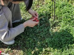 -湖南生物机电职业技术学院(东湖校区)