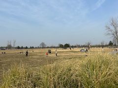 -汉长安城未央宫国家考古遗址公园