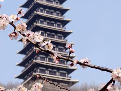 -大伊山景区