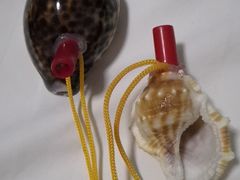 -宾朋海鲜特色美食餐厅·纯手工鲅鱼水饺(兴海路店)