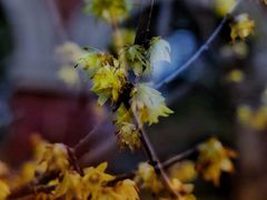 -华东政法大学(松江校区)