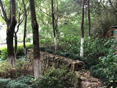 -杭州半山国家森林公园