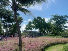 -深圳湾公园(南山区)