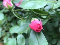 -瑞幸咖啡(云密城J栋店)