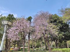 -文华公园(禅城区)
