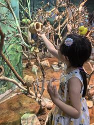 -Zoolung Zoolung动物主题公园(海信广场店)