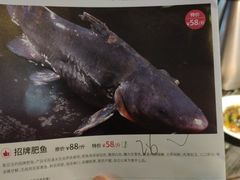 -鱼豆吉·豆浆鱼火锅(CBD店)