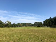 -福建鲤鱼洲酒店