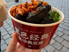 -黑色经典臭豆腐·湖南特产(坡子街店)