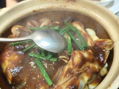 啫啫鱼头煲-熠盛粤味·顺德桑拿鸡(永康路店)