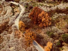 -鸡枕山