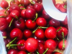 -乐乐鲜果水果超市(河北店)