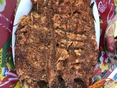 烤虹鳟鱼-何适山庄 ·可团建(水长城P2停车场店)