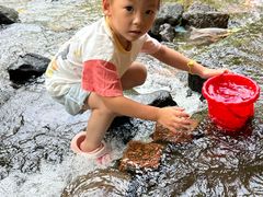 -重庆彩云湖湿地公园