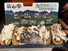 -芸山季·云南野生菌火锅(人民广场来福士店)